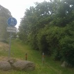 Zugewachsener Radweg zwischen Richtenberg-Tribsees
